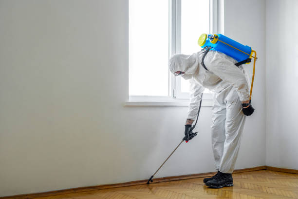 Best Best Pest Control Companies  in Whidbey Island Station, WA