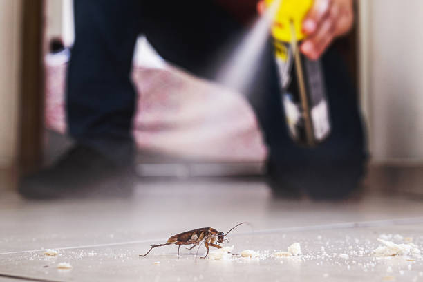 Best Residential Pest Control  in Whidbey Island Station, WA