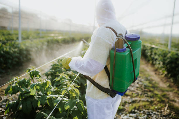 Pest Prevention Services in Whidbey Island Station, WA